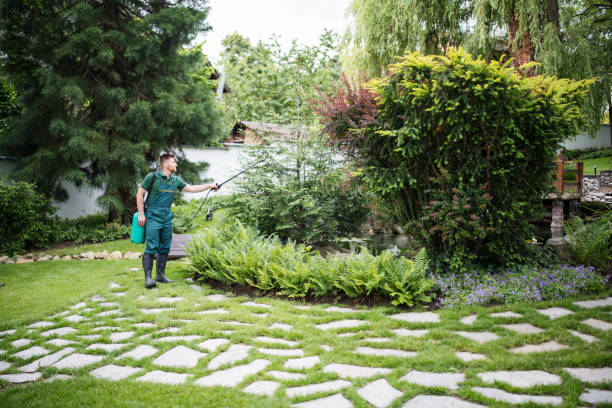 Best Mosquito Control Services  in Choctaw Lake, OH