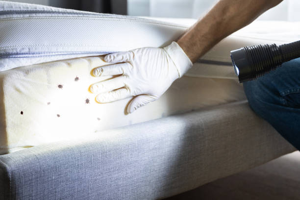 Best Commercial Pest Control Services  in Choctaw Lake, OH