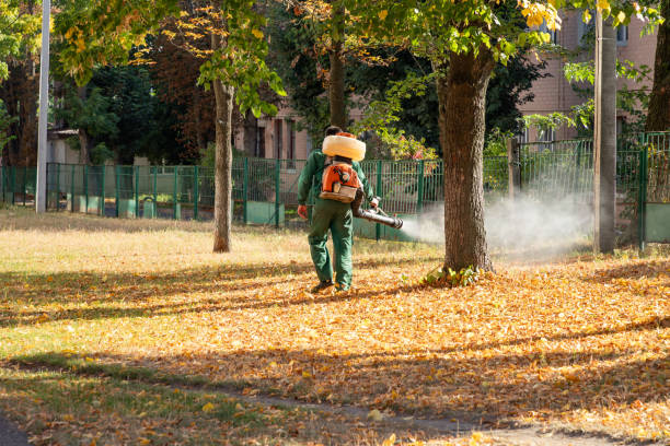 Best Residential Pest Control  in Choctaw Lake, OH