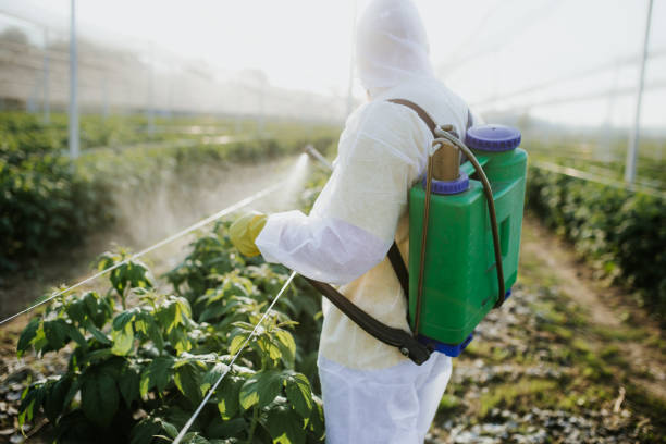 Best Bed Bug Extermination  in Choctaw Lake, OH